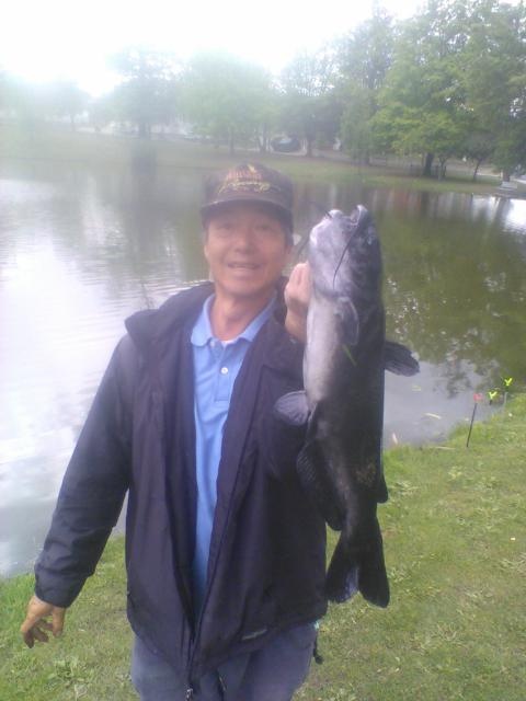 Channel Catfish