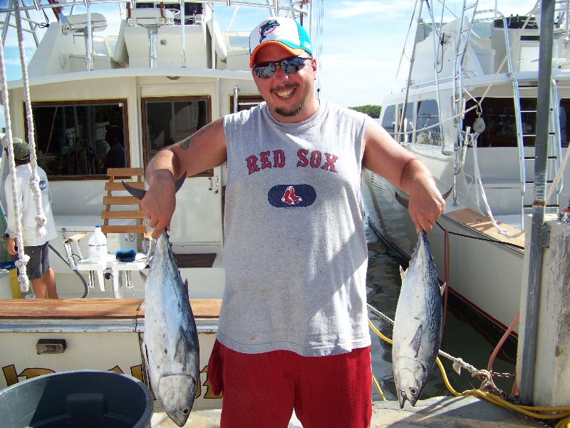 Atlantic Bonito Details - NJ Fish Finder