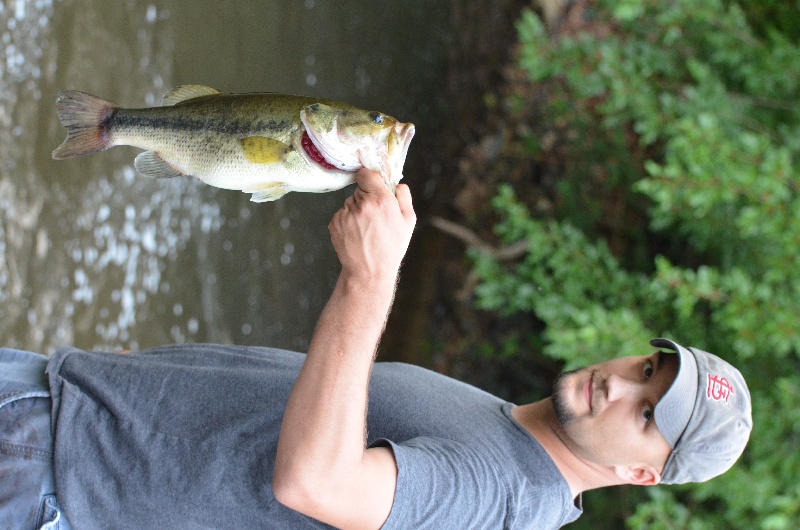 River Bass