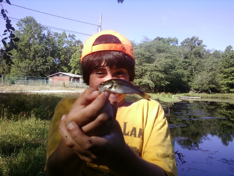 baby bass