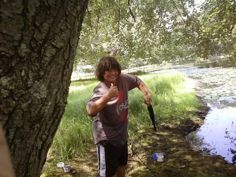 largemouth bass