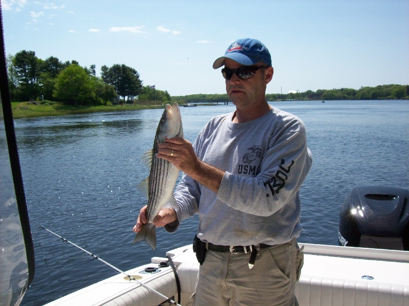 Small keeper Striper 6/1/08