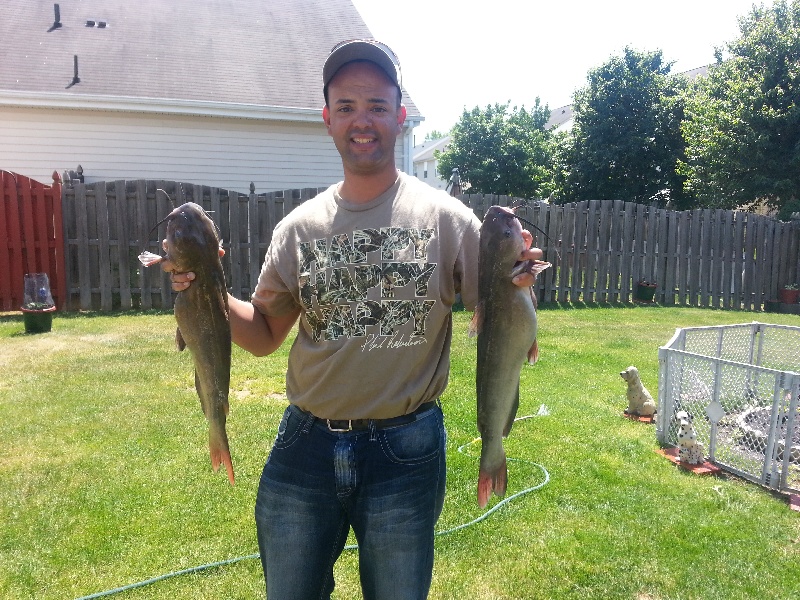 Two Big Catfish