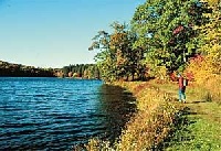 Allamuchy Pond