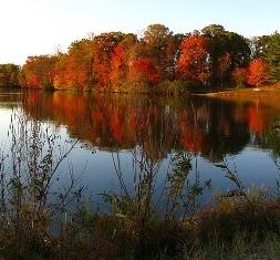 Alcyon Lake