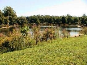 Wood Dale Park Pond