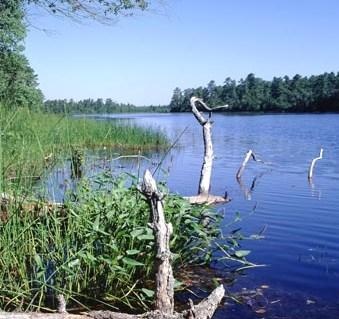 Whitesbog Pond