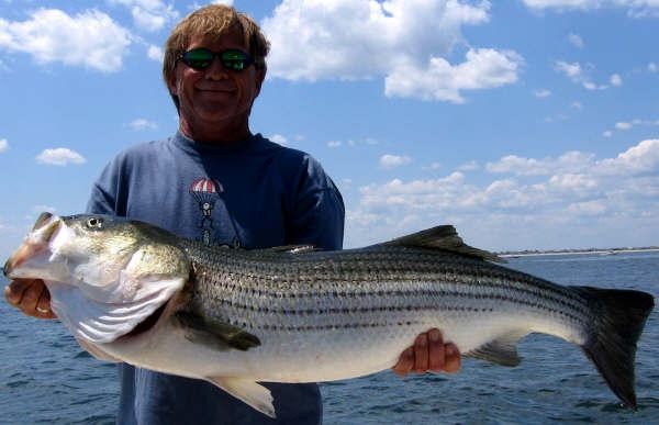 Jack 42 in Sandy Hook Striper